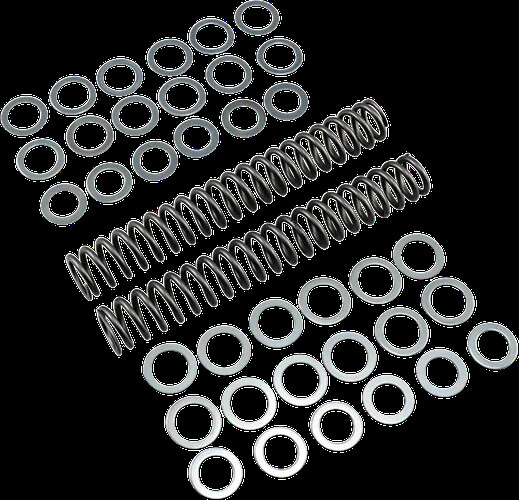 Race Tech Fork Spring 1.00 kg/mm Pair for Victory V92TC 02