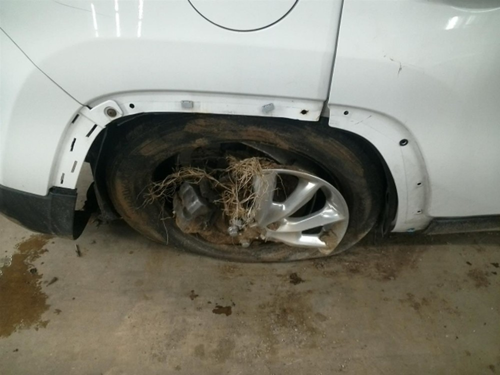 Engine ECM Electronic Control Module 3.6L Fits 15 200 104929019