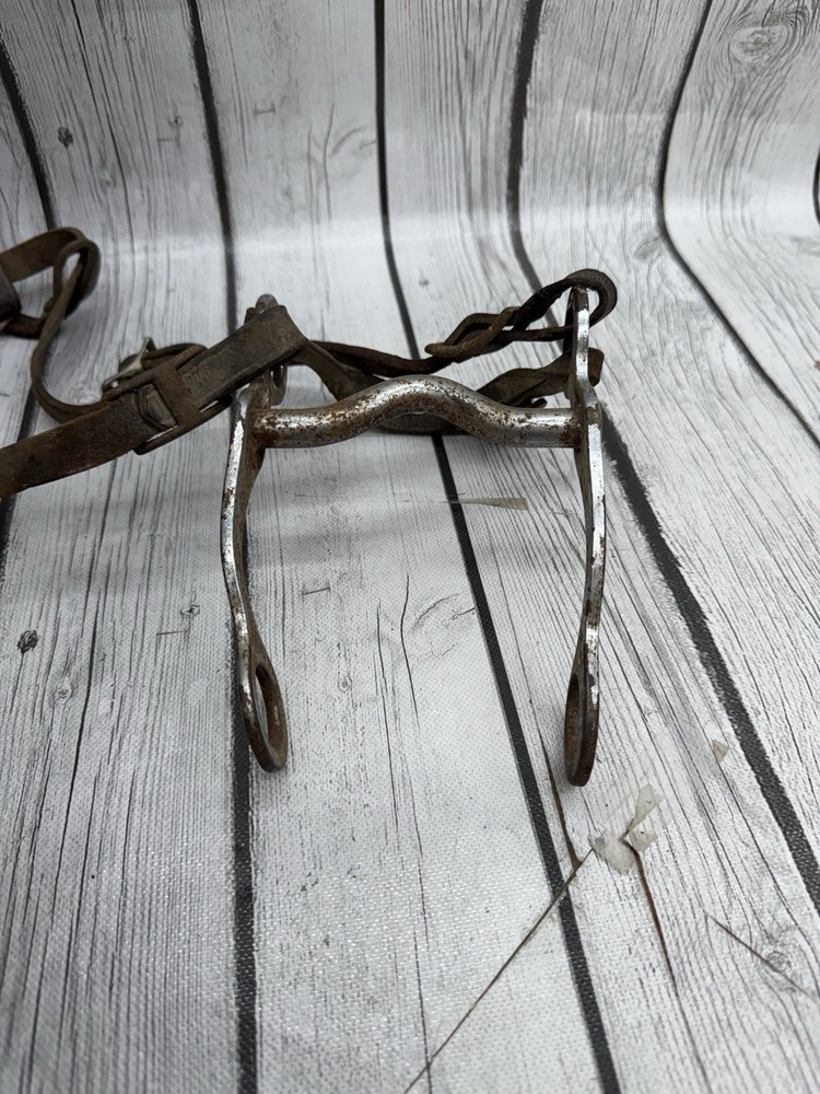 Vintage House Mouth Bit
