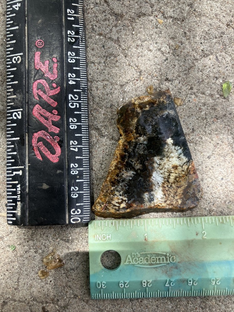 Priday Plume Agate Slab (Oregon)