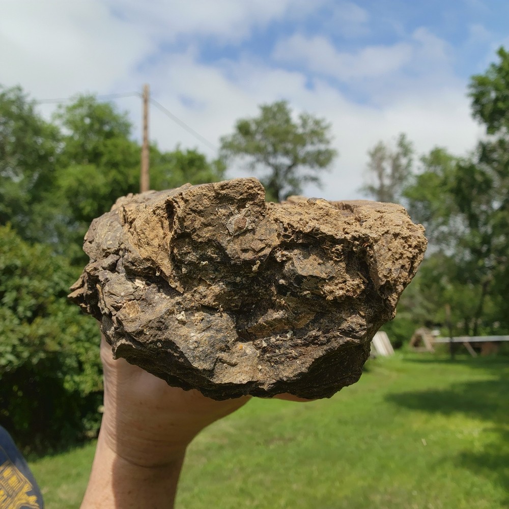 Large Heavy Dinosaur Bone Section - Authentic Fossil - from Hell Creek Formation