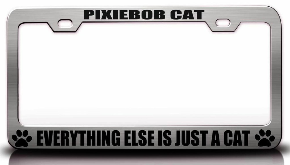 PIXIEBOB CAT EVERYTHING ELSE IS JUST A CAT Steel Frame
