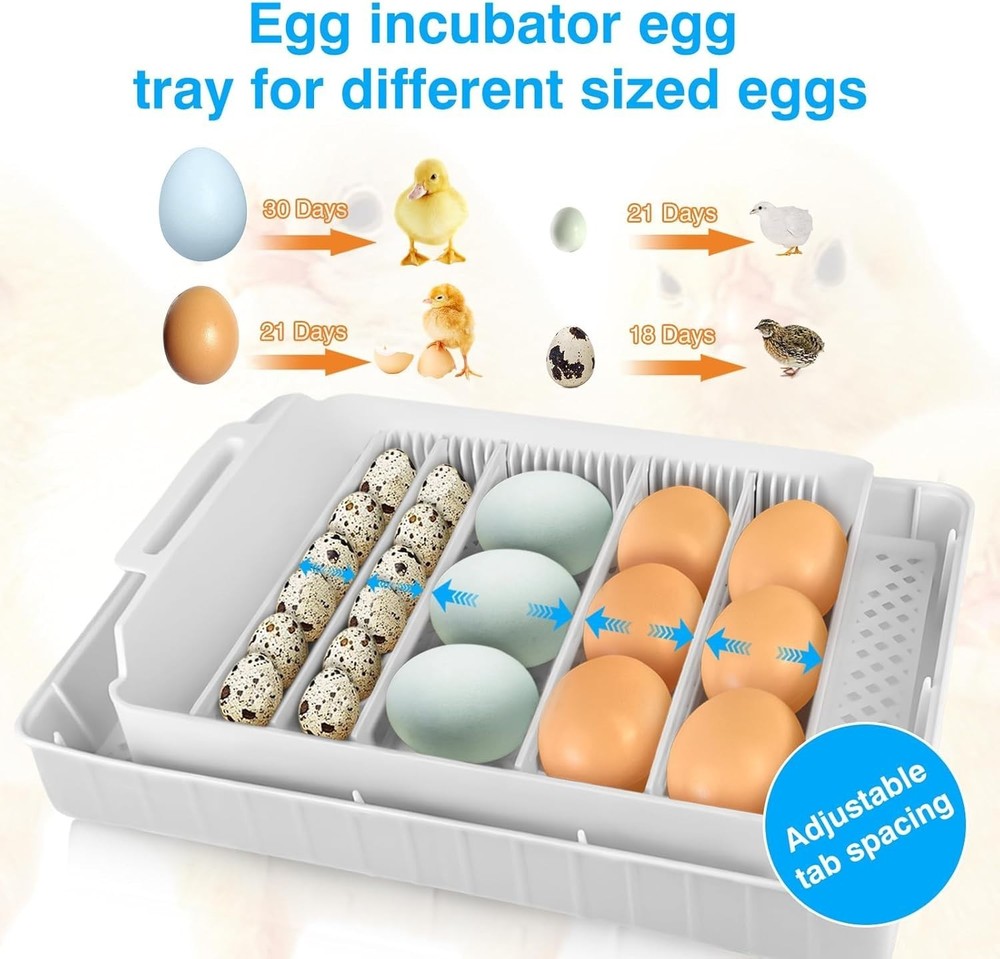 15-35 Eggs Incubator with Automatic Egg Turning and ℉Temperature Display LED ...