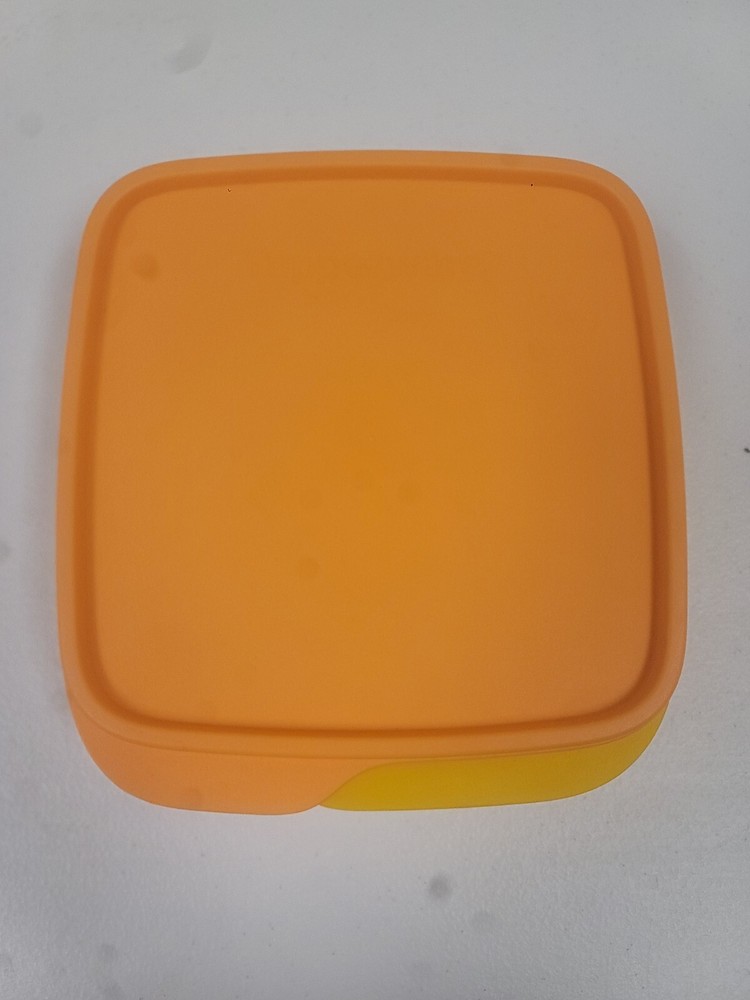 NEW Tupperware Lunch Container Divided Orange