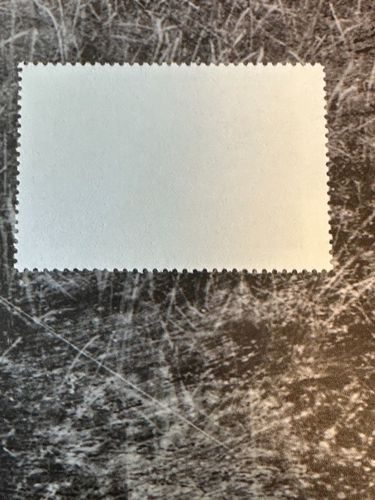 1991 Virginia State Duck Stamp,