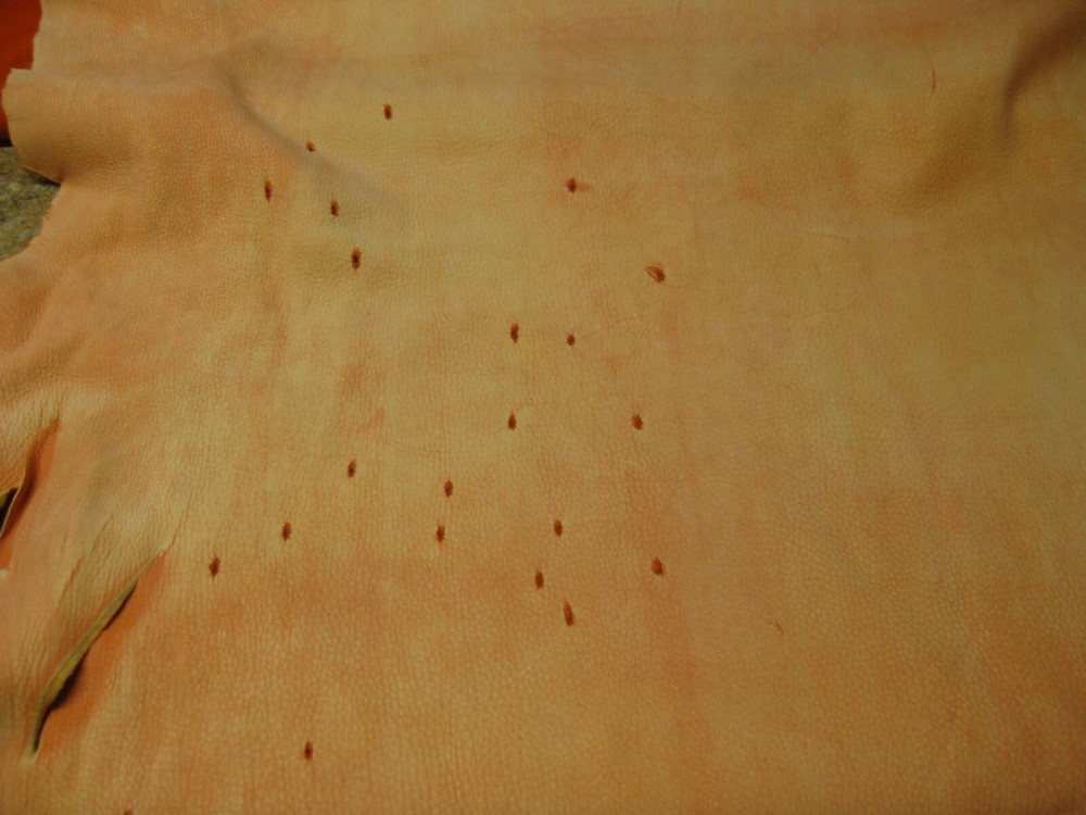 Buffed Deer Leather # 0008662 ROW 3