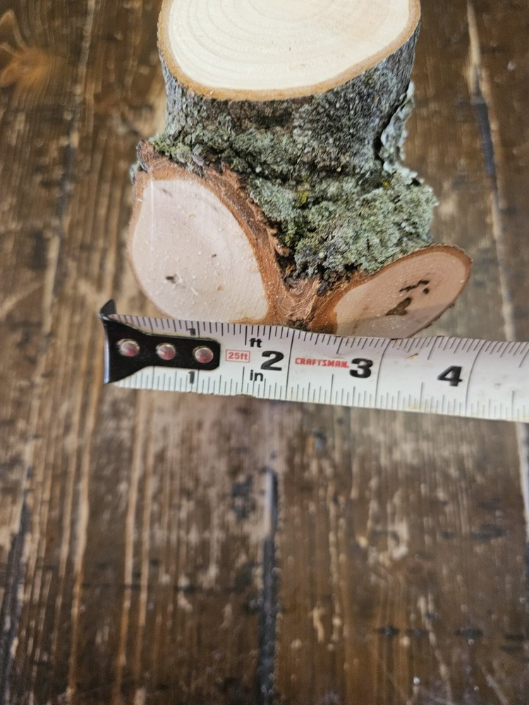 MAPLE Turning Crotch Log 9" Long M4851