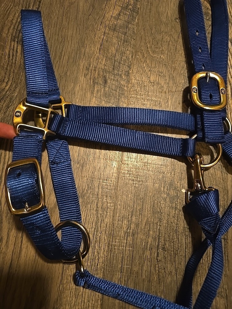 Horse Halter