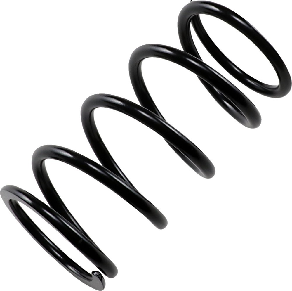 EPI Black Primary Clutch Spring (PS-4)