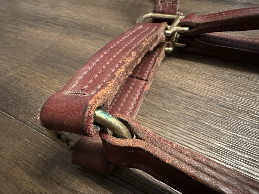 Horse Tack - Leather Track Halter