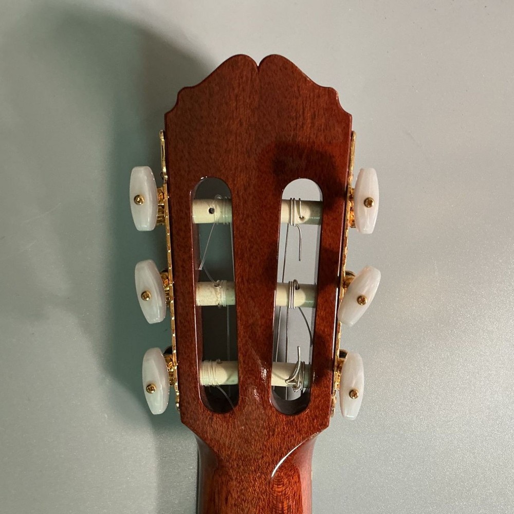 Takamine TGL8-S