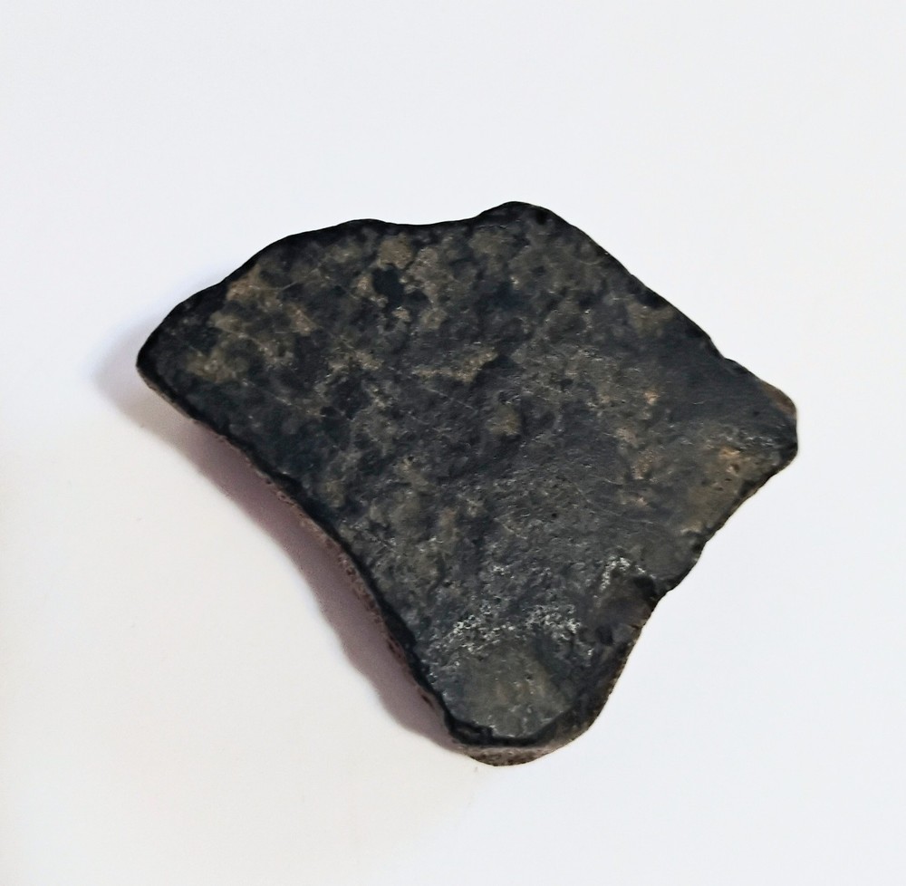 6 Petrified Fossil Bones