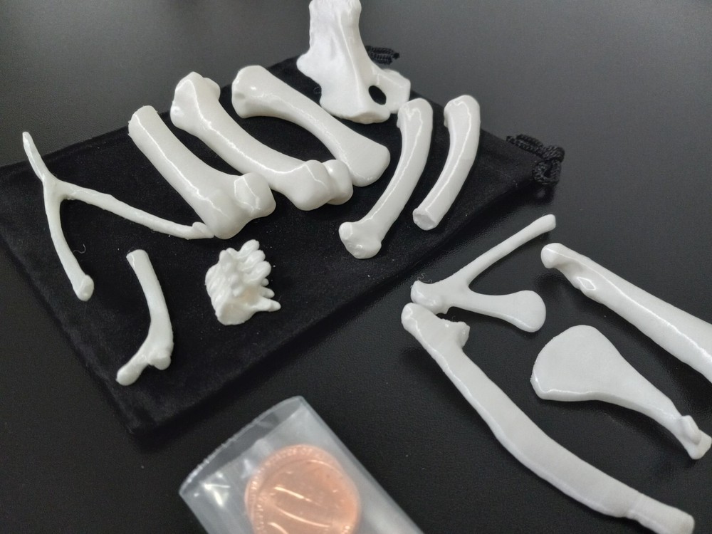 Bone Throwing/Casting Complete 13 Bone Set – White, voodoo hoodoo osteomancy