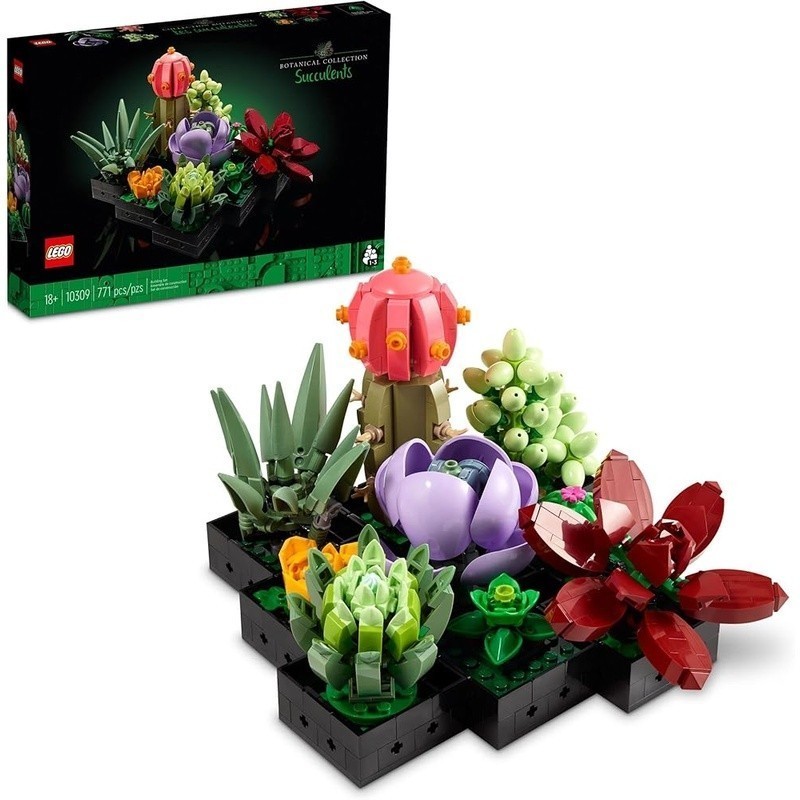 Artificial Succulent Plants Set Home Office Décor Customizable Display Gift Idea