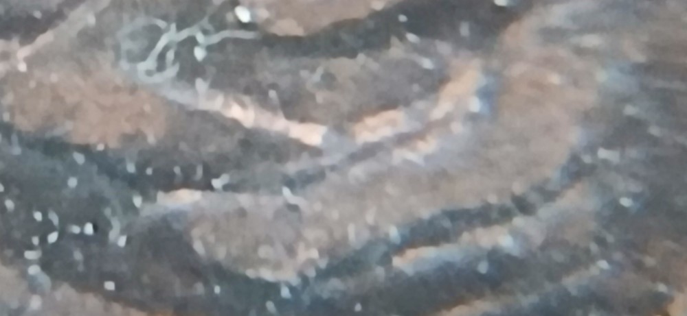 2009-p formative years double die lincoln cent