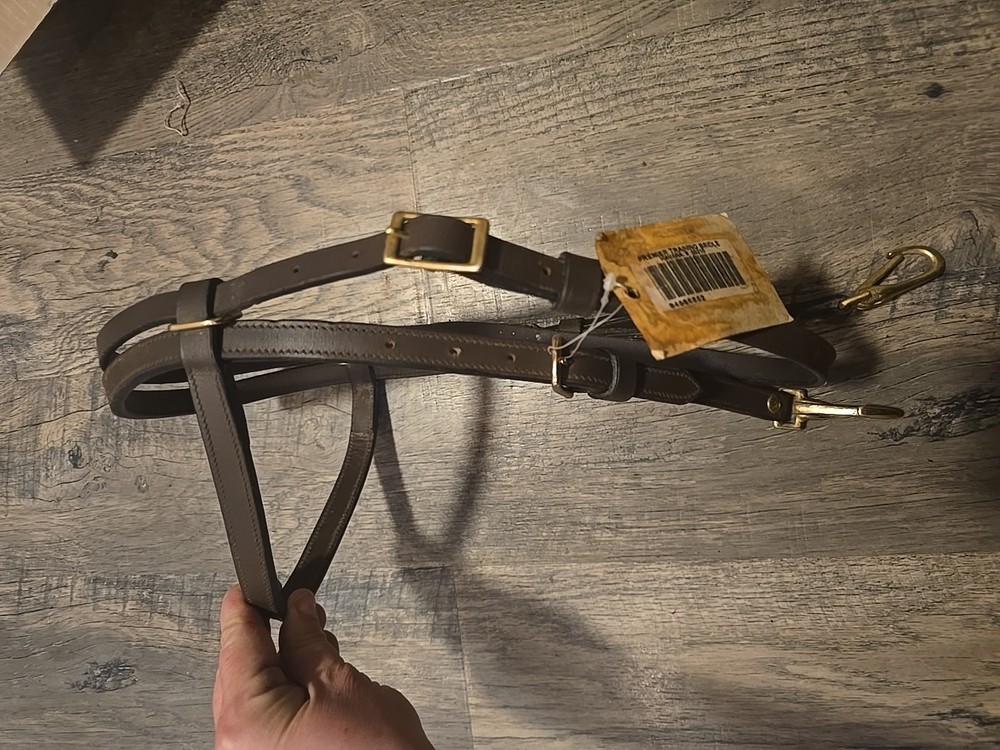horse headstall