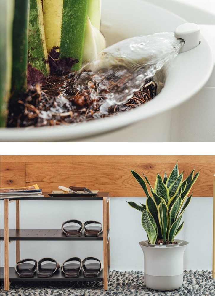Wirelessly Autonomous Gardening Assistant