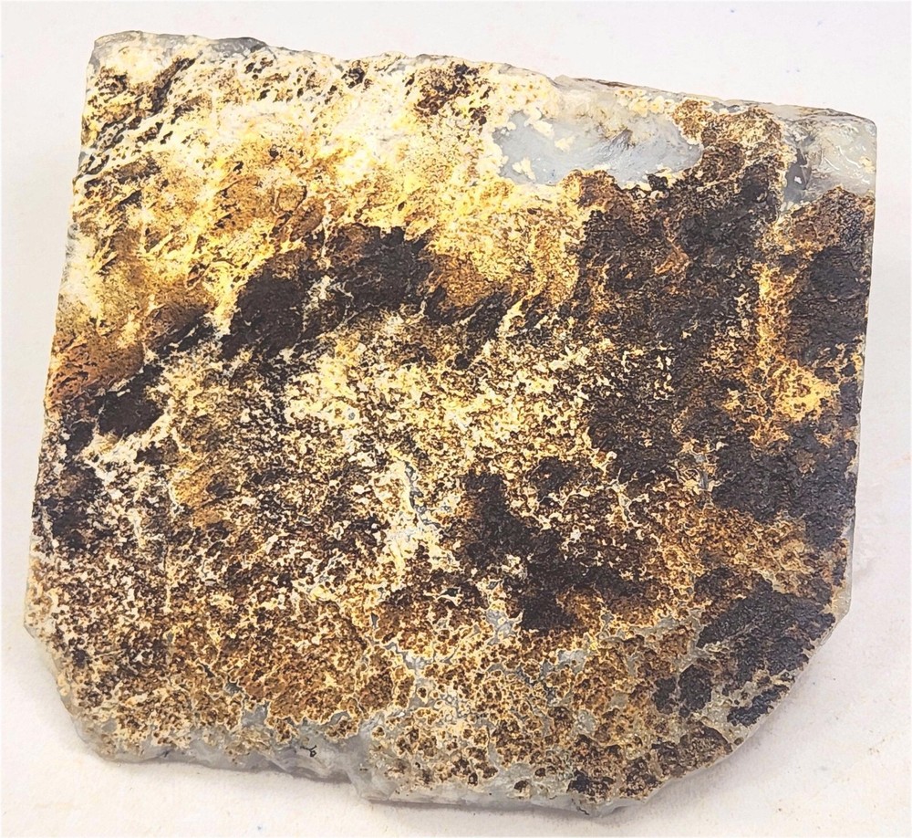 Graveyard Point Plume Agate Large Slab for Cab Cutting Rough