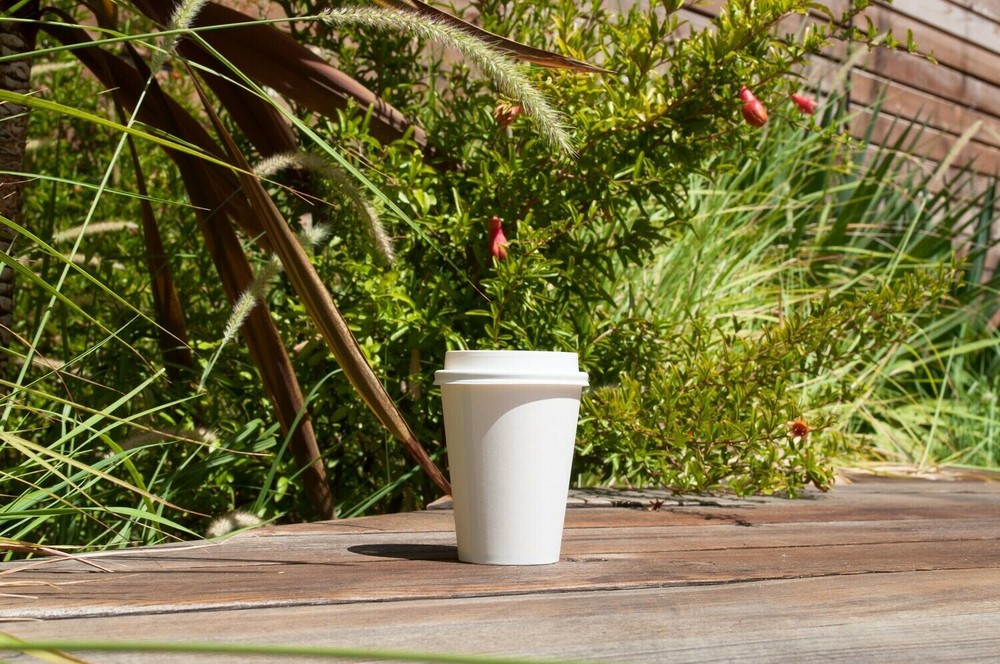 Paper Hot Cup Only