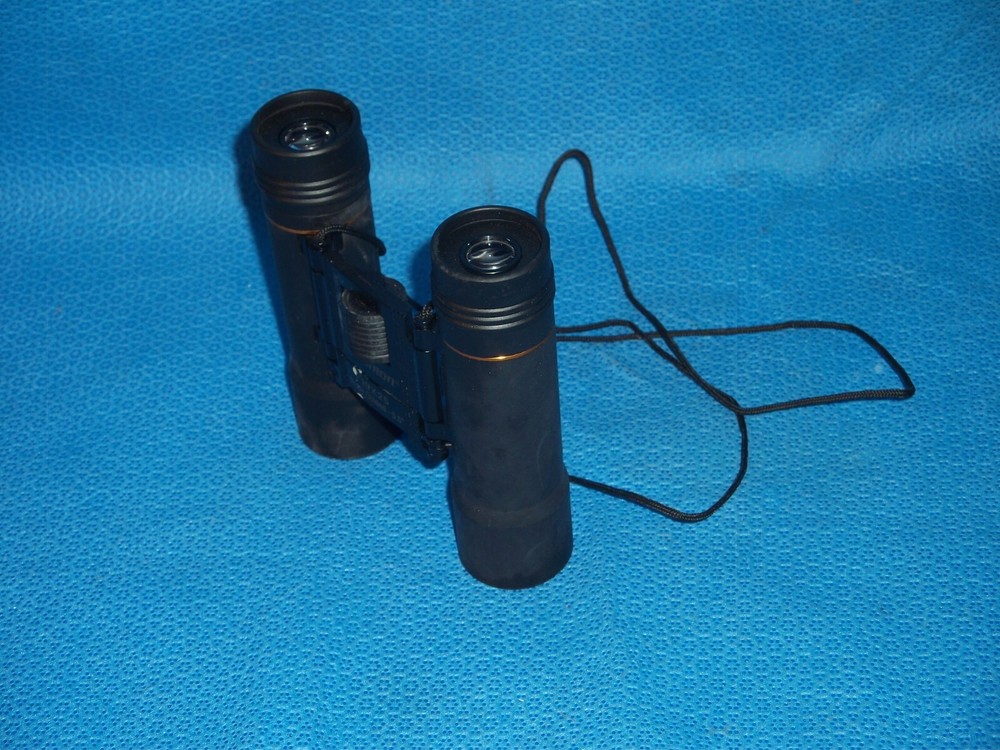 Celestron 10x25 Ruby Coated Compact Binoculars with Case
