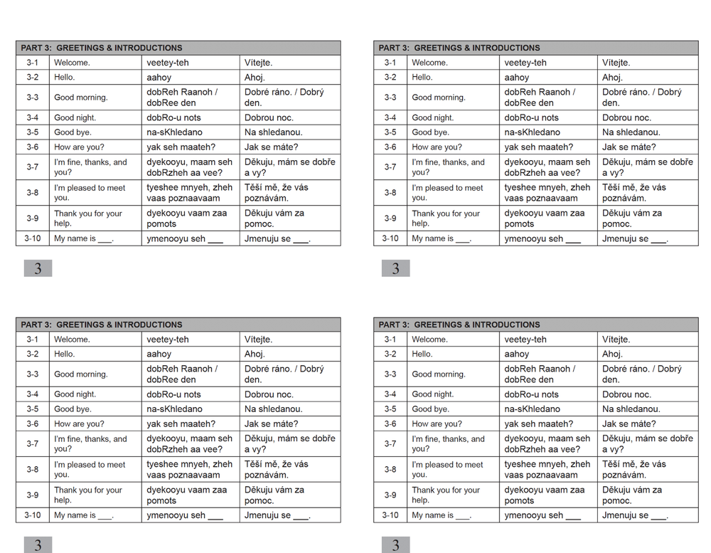 Defense Language Institute DLI BASIC CZECH Text & 600+ MP3 Audio CD