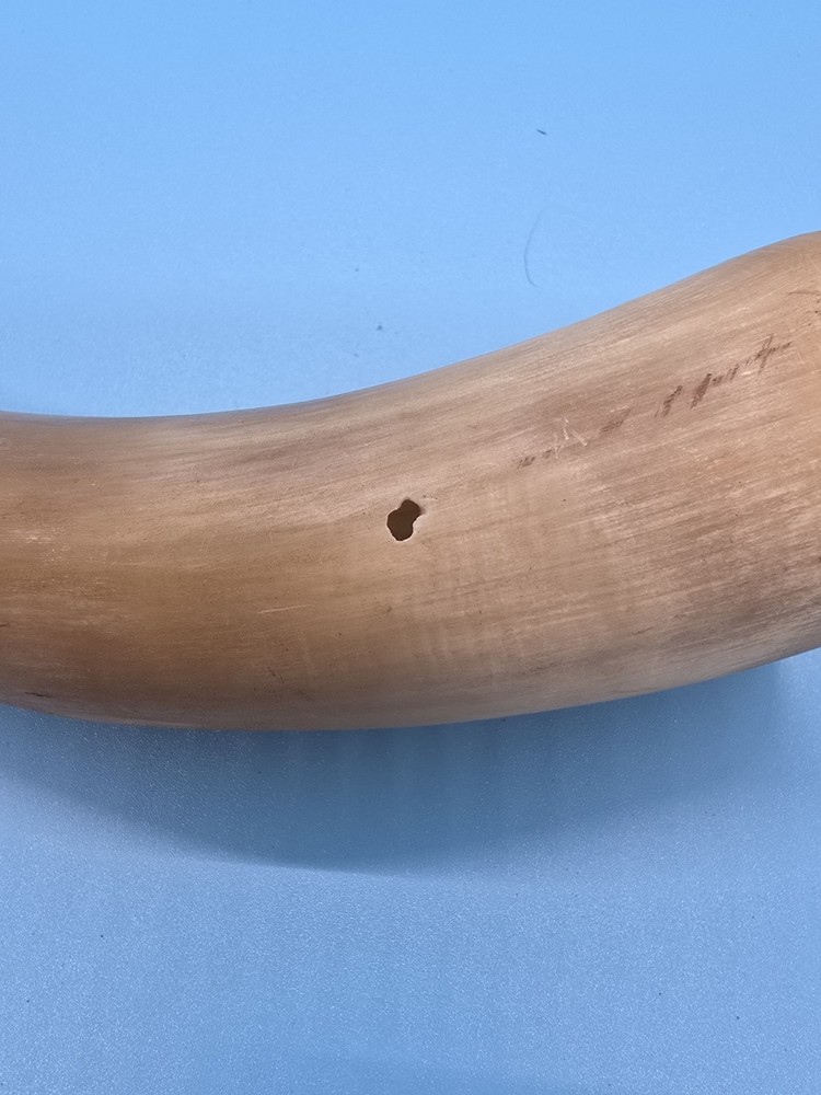 Antique Powder Horn