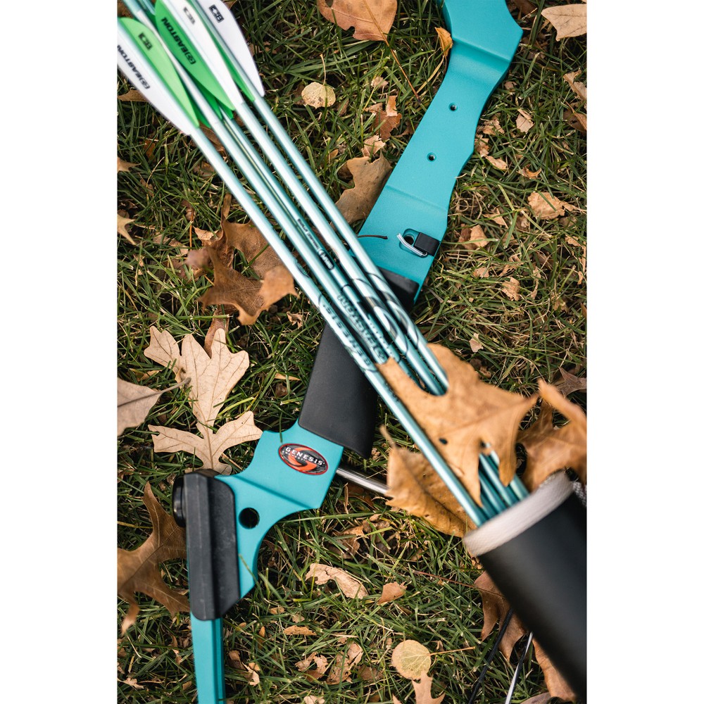 Genesis Archery 10930 Red Original Compound Target Practice Bow Kit, Right Hand