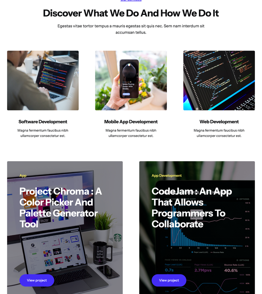 Programmer Website Design with Free VPS Web Hosting and Installation