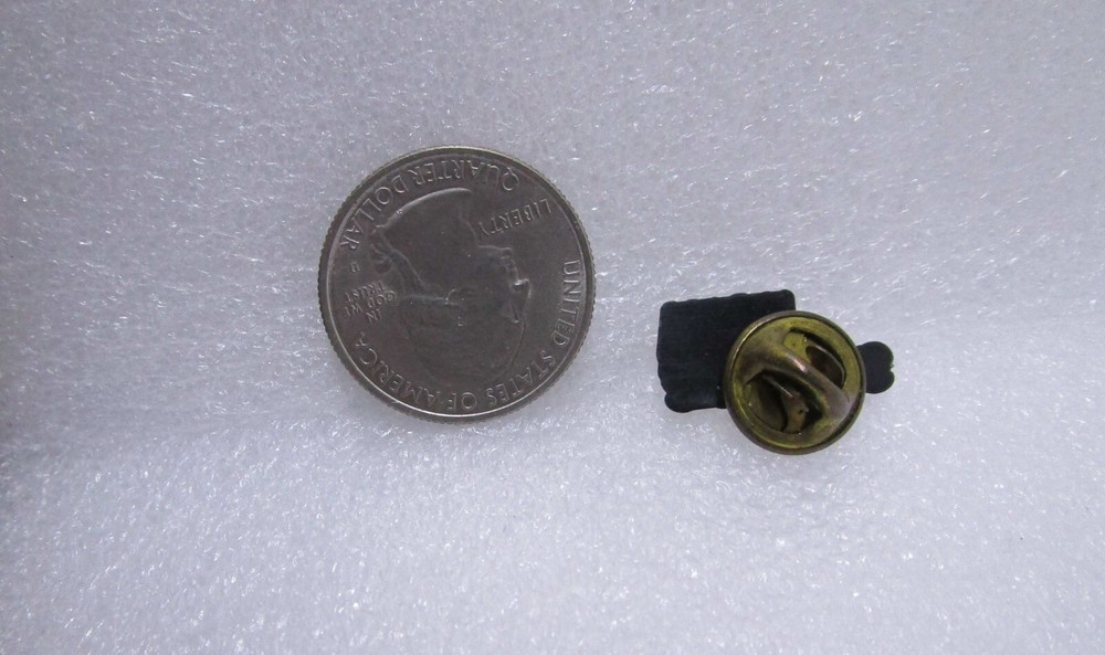 A Child's Wish Plastic Pin
