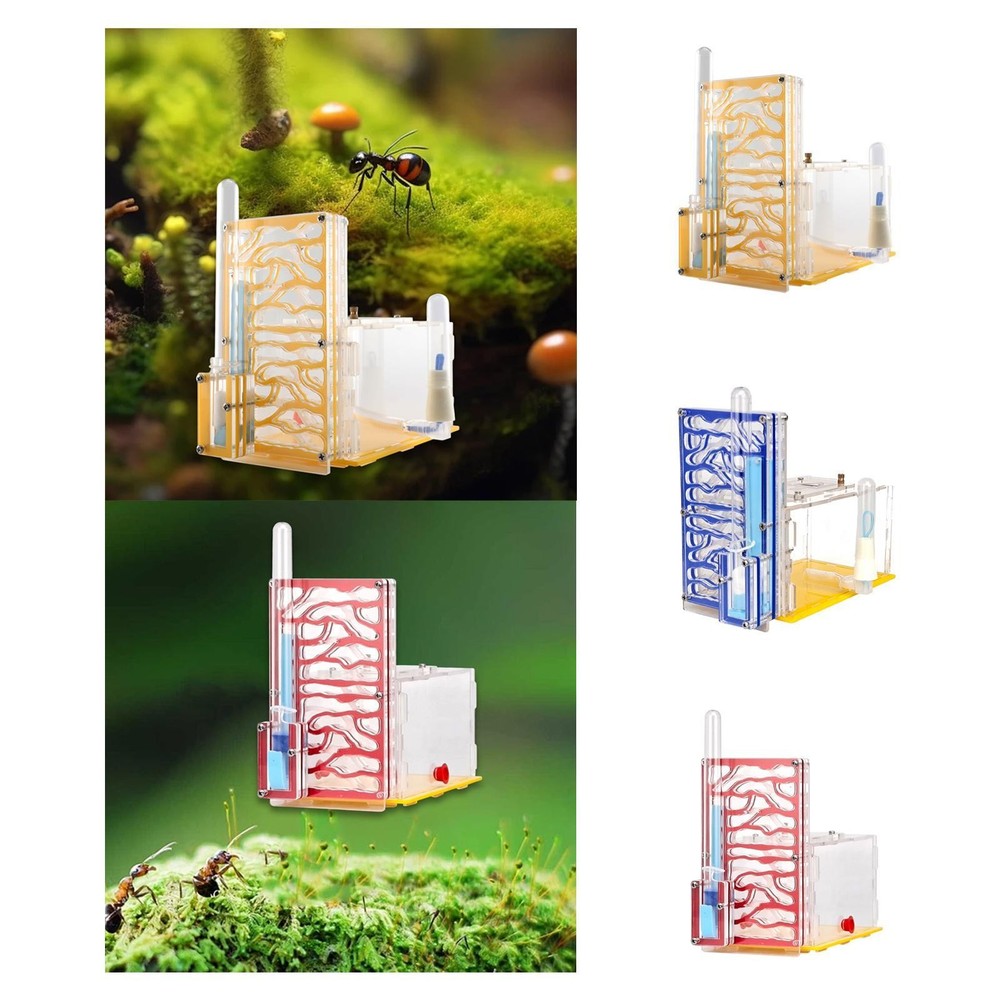 Easy Assembly Nest Breeding Case with Transparent Box for Science Observation