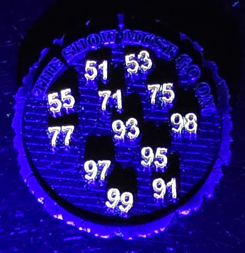 🔥DELAWARE COUNTY SECTOR 2 ICAC CHALLENGE COIN GLOWS 🔥
