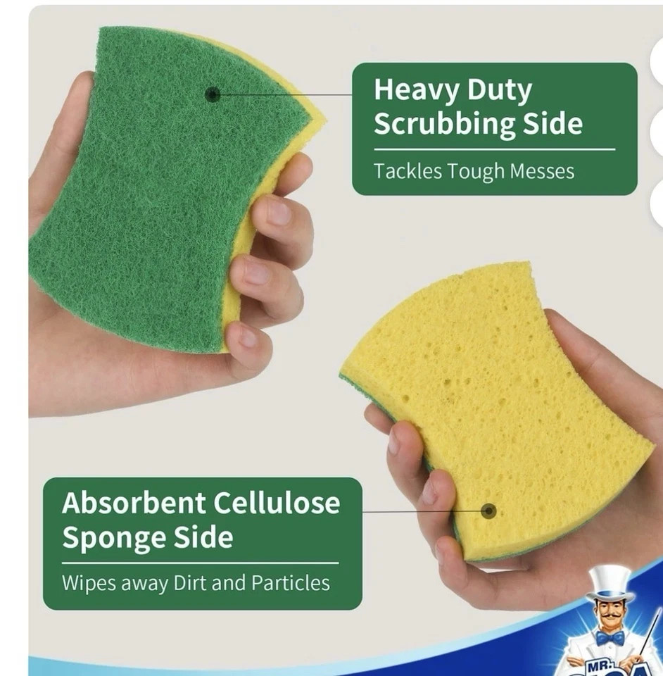 Sponge for Dish