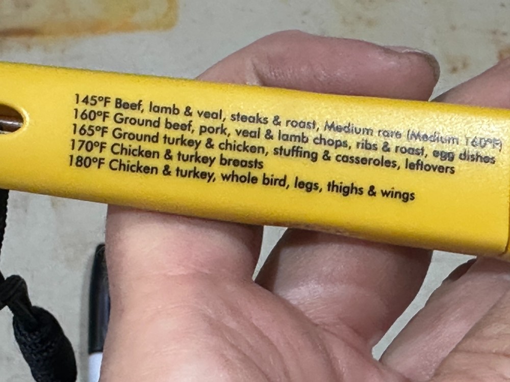 Taylor 9848E Digital Thermometer