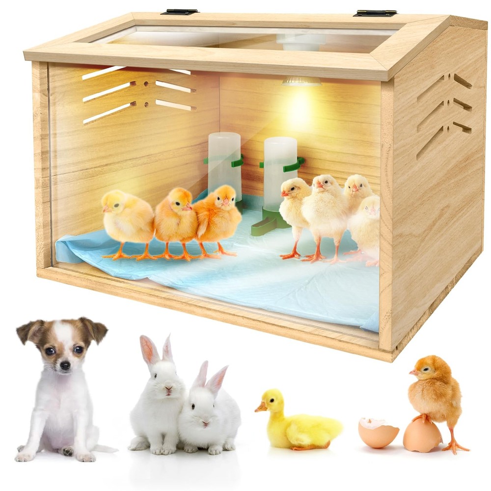 Chicken Brooder Box for Chicks & Quail with 3 Absorbent Box, Beige