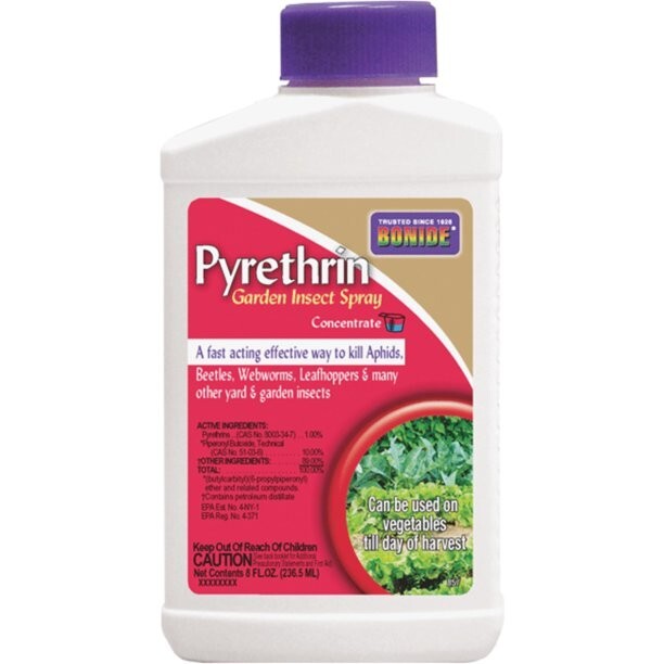 Pyrethrin Garden Insect spray Concentrate 8oz