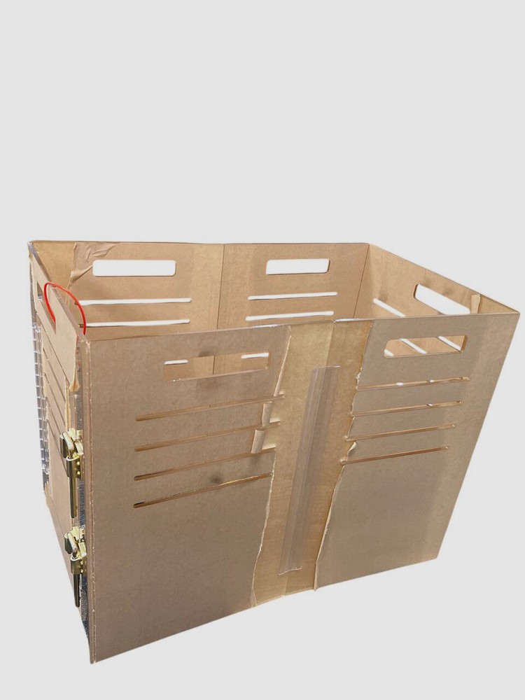 HIDDIN Small Clear View Pet Crate With Golden Latch