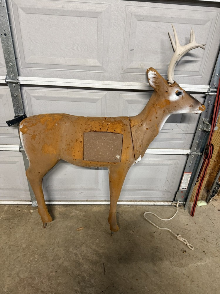 Bear Lights Out Compound Bow