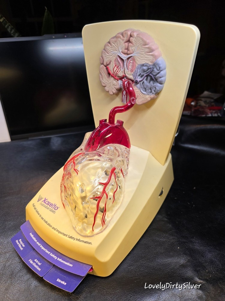FREAKY 3D Human Functioning Heart and Brain Lighted Display Model