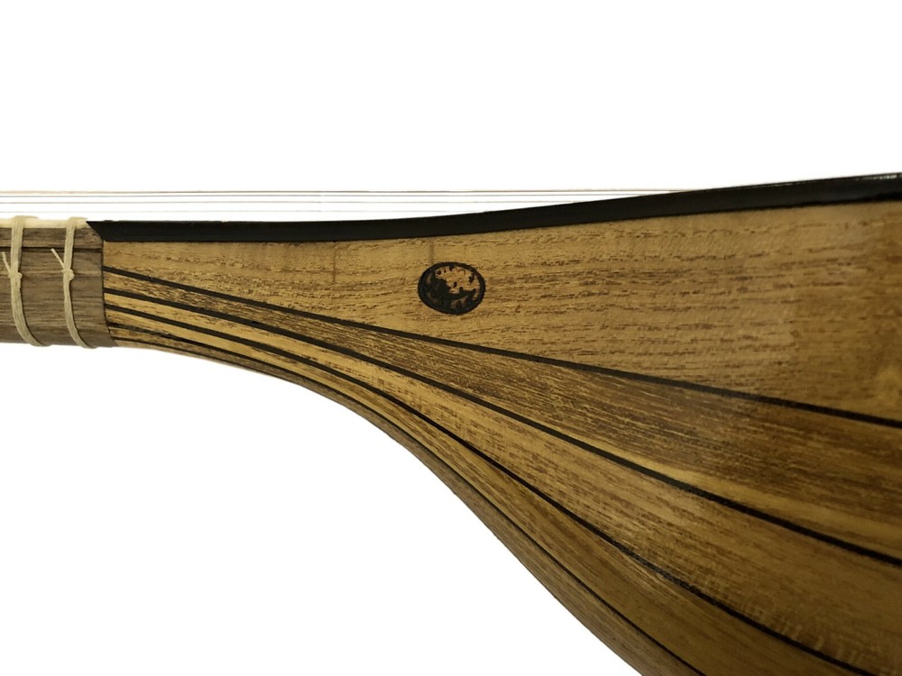 High quality professional Setar,Sehtar,Sitar with hard case