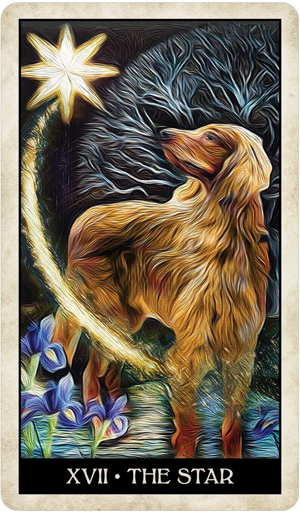 Wise Dog Tarot Card Deck!