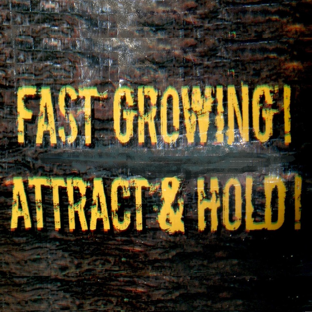 BULK BAGS EVOLVED HARVEST HUNTER SERIES MEGA PLOT DEER FORAGE FOOD PLOT SEED