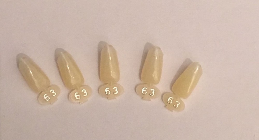 Dental Polycarbonate Temporary Crowns 5 pcs #63