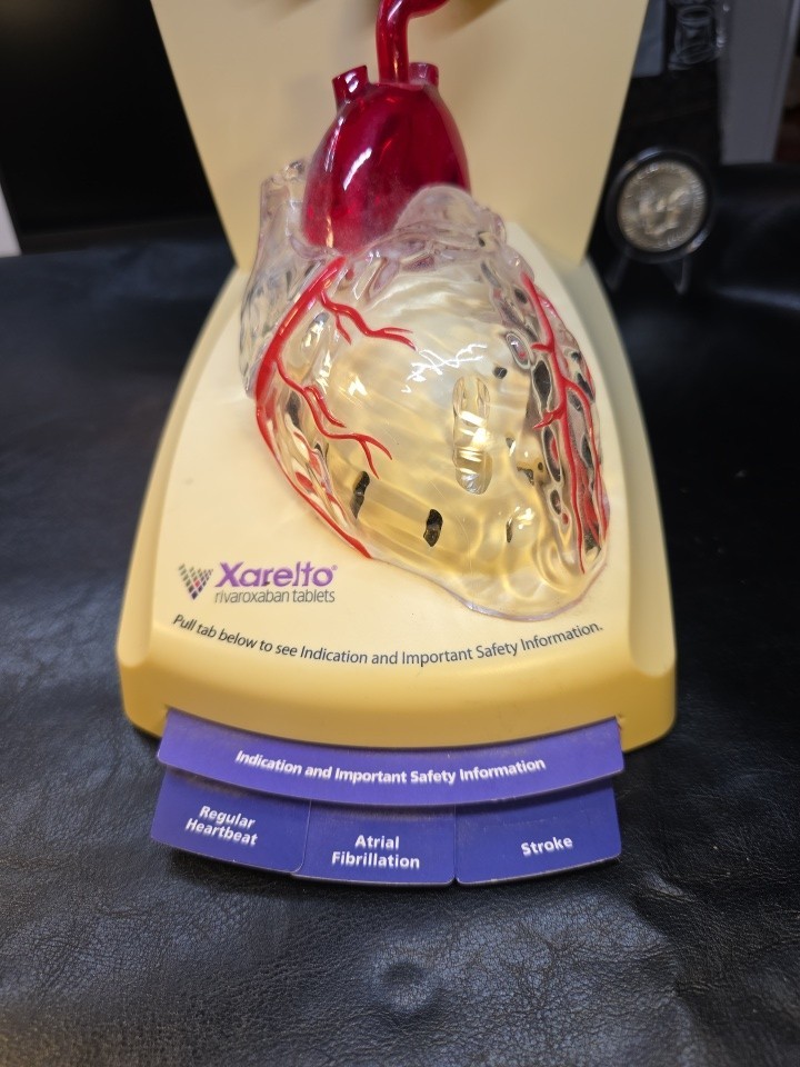 FREAKY 3D Human Functioning Heart and Brain Lighted Display Model