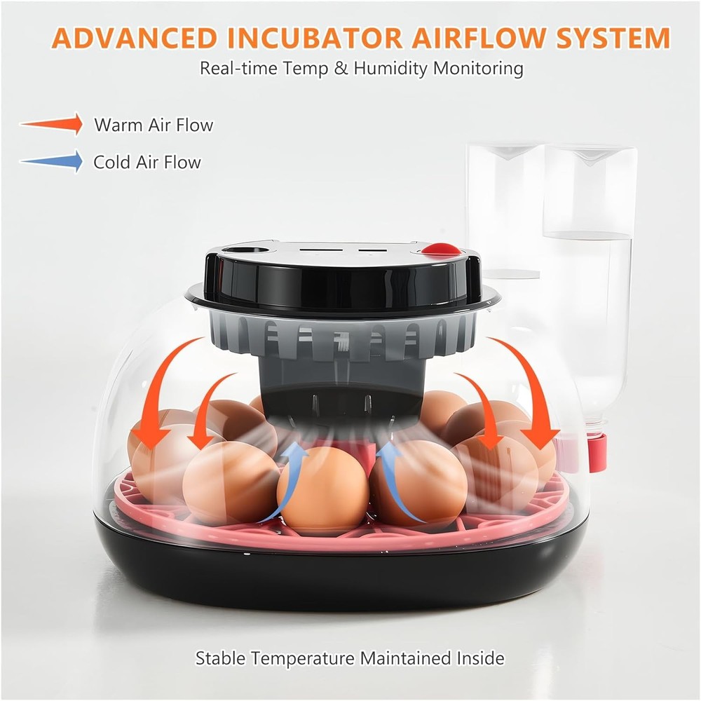 Incubators for Hatching Eggs - 12 Egg Capacity, Egg Incubator with Automatic ...