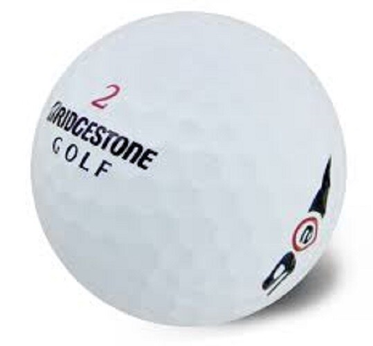 Bridgestone e6 Mint AAAAA 50 Used Golf Balls 5A