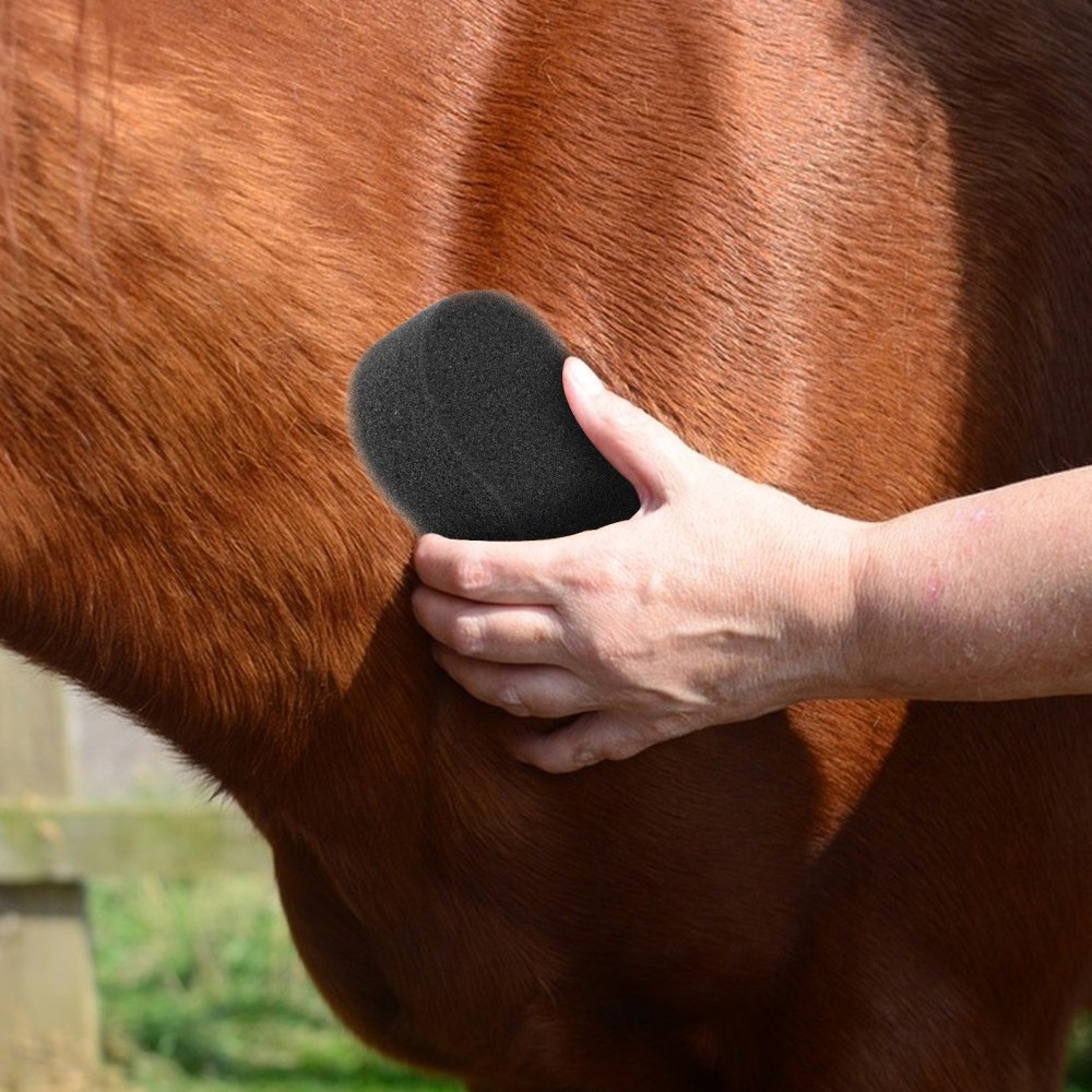 5 Pcs Horse Bathing Tools Cleaning Sponges Large Soft Sponge Set