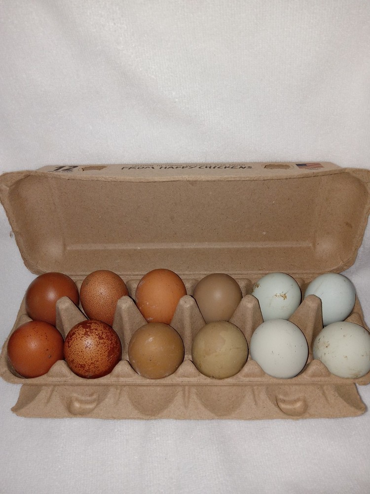 10+ rainbow hatching eggs