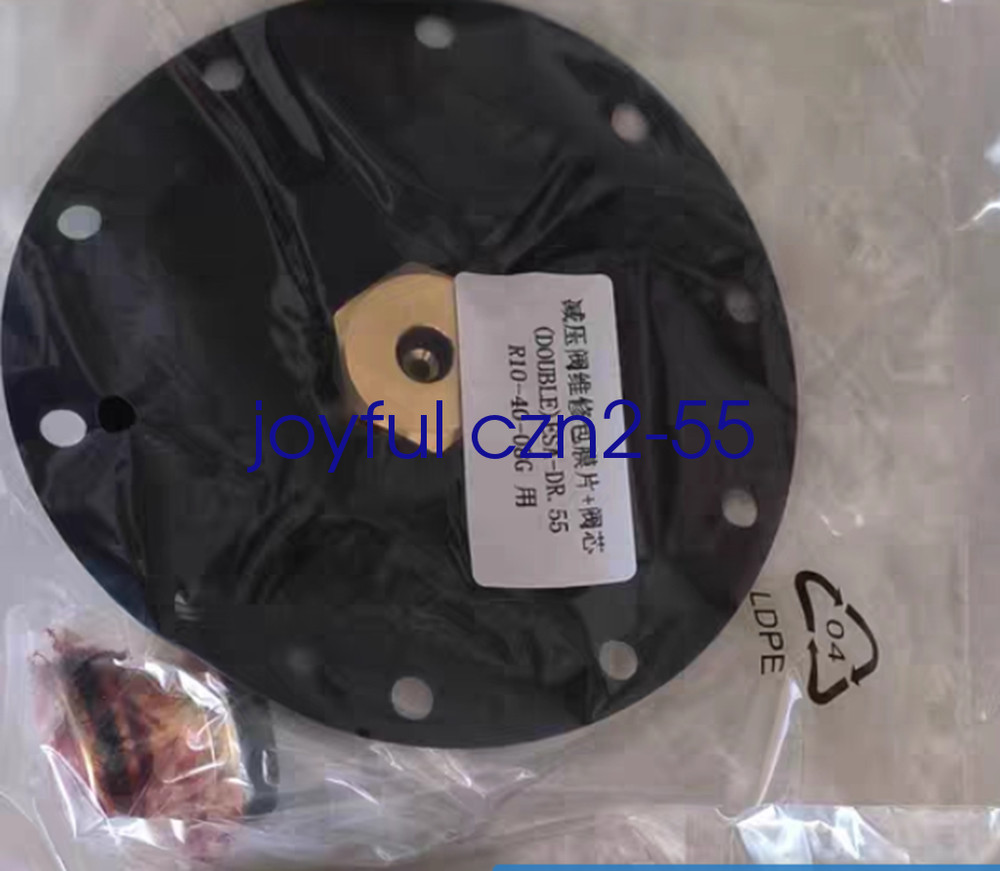 R10-40-08 G Blow Molding Machine Pressure Reducing Valve Repair Kit Diaphragm