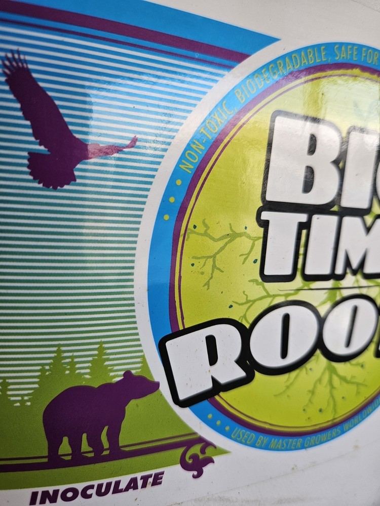 Big Time Roots