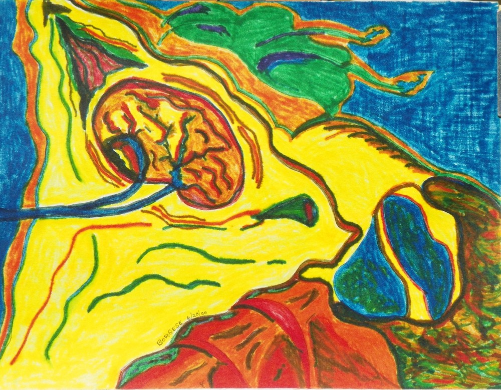 BRAIN by PETER BORGESE